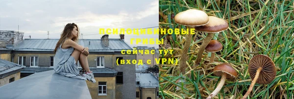мескалин Арсеньев