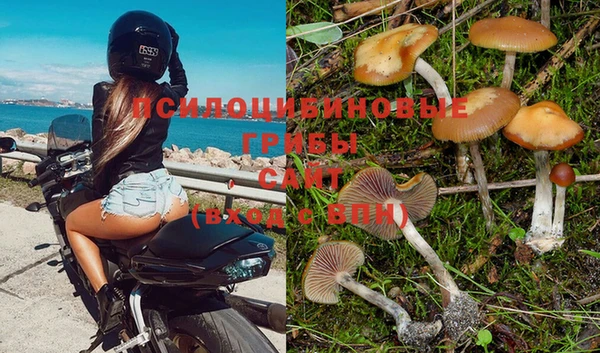 метамфетамин Аркадак