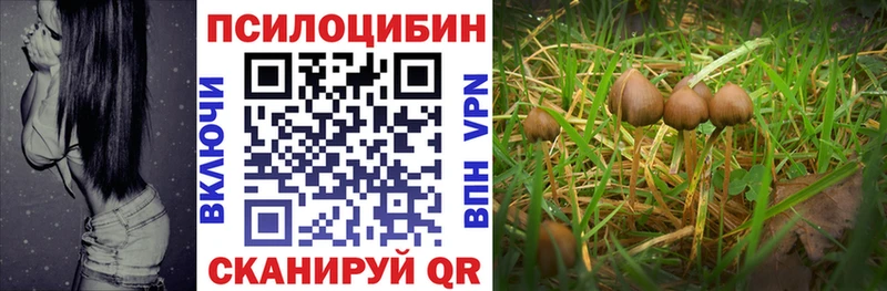 Галлюциногенные грибы ЛСД  купить   Приволжск 